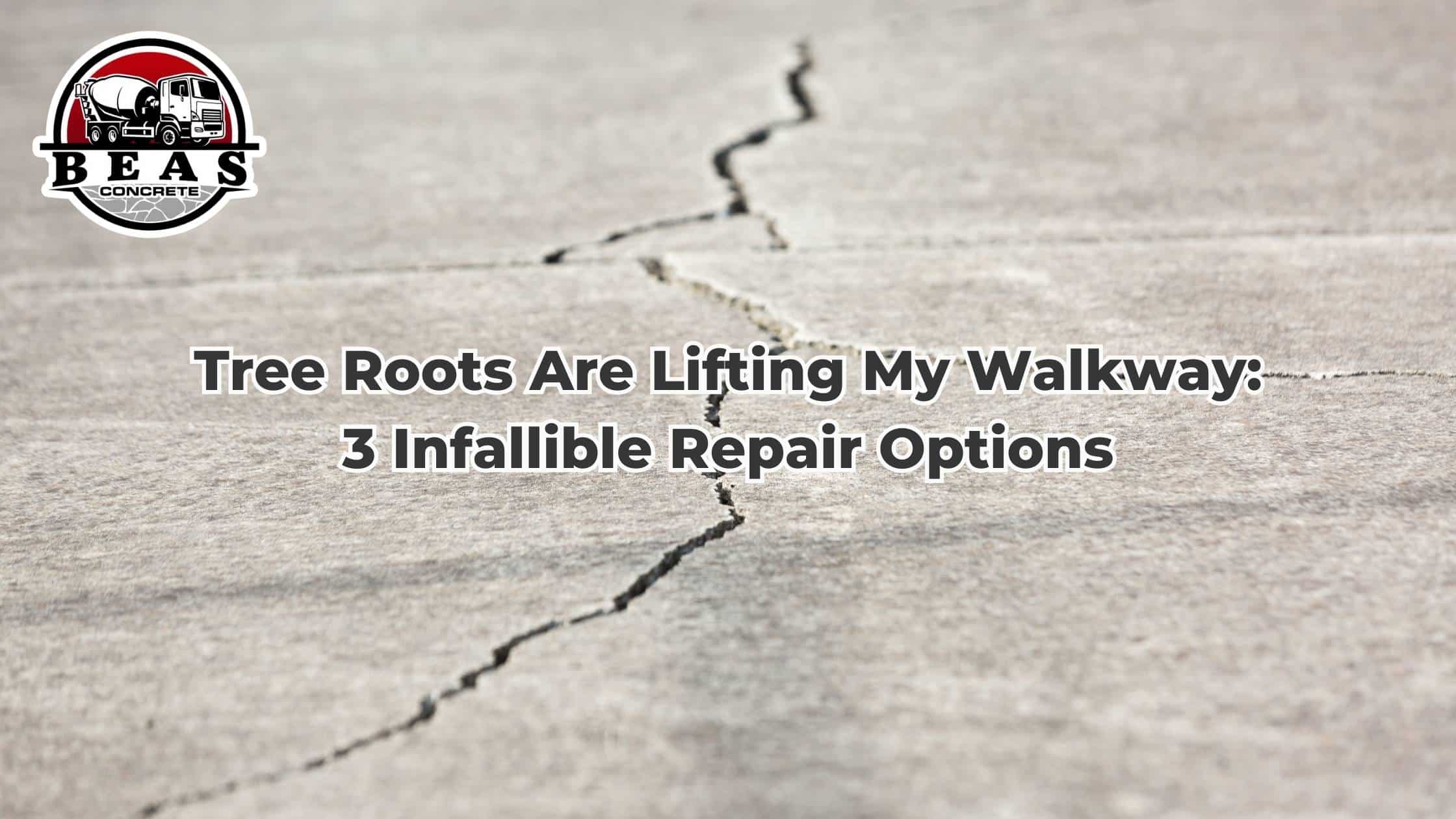 Tree Roots Are Lifting My Walkway: 3 Infallible Repair Options